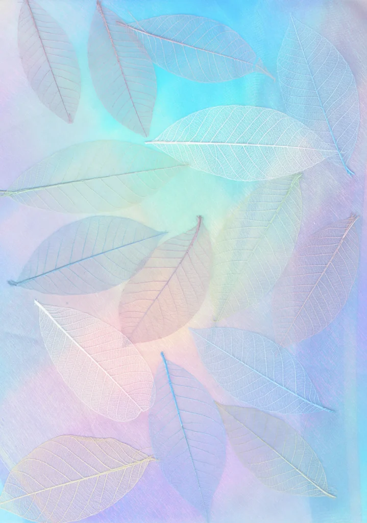 Feuilles
