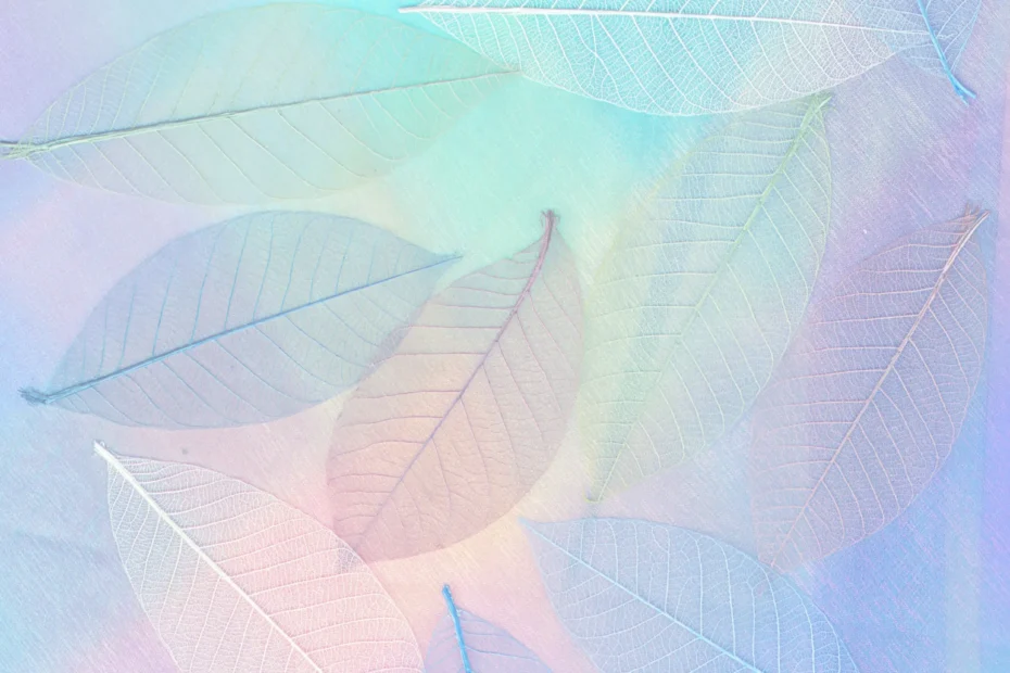 Feuilles