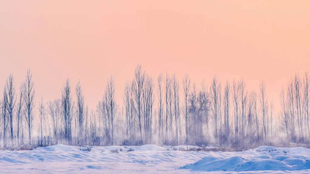 Hiver