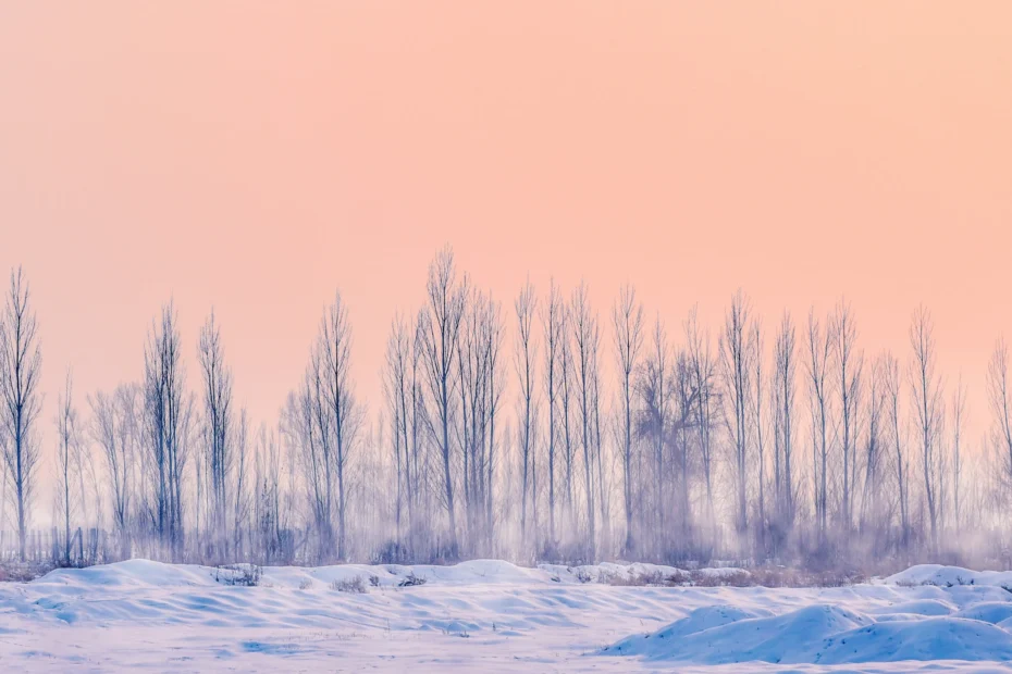 Hiver